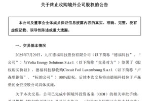 301511，海外并购终止