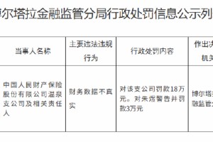 人保财险温泉支公司被罚18万元：财务数据不真实