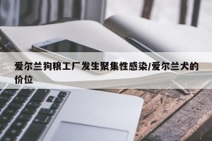 爱尔兰狗粮工厂发生聚集性感染/爱尔兰犬的价位