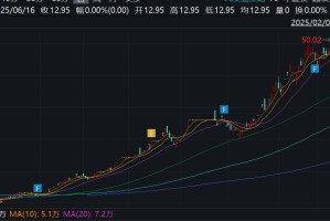 *ST亚振上演“过山车”行情：股价异常波动连跌三日，最近一个月跌30%