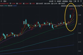 紫金矿业、洛阳钼业创新高！有色ETF华宝（159876）猛拉4%获资金净申购3900万份！十年一遇的有色大年？