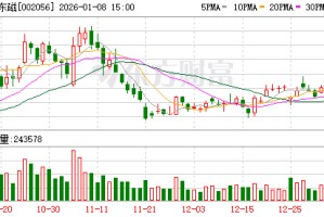 横店东磁：公司将在变局中凝聚信心，持续推进公司高质量发展