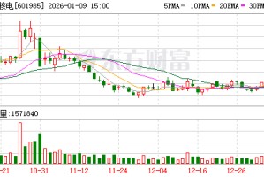 中国核电：可控核聚变项目是公司控投股东中核集团下属研究院所组织研究并开展的项目