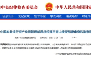 农业银行资产负债管理部原总经理王青山被查