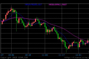 阿联酋ADNOC加油站可接受当地稳定币支付 加密货币融入日常生活