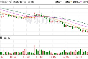 水井坊：公司将努力做强白酒主业