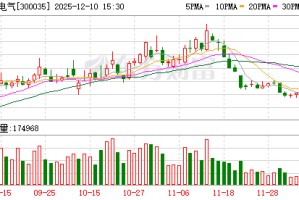 中科电气：公司及子公司无逾期对外担保