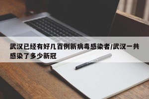 武汉已经有好几百例新病毒感染者/武汉一共感染了多少新冠