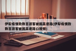 伊犁疫情致数百游客被困高速路(伊犁疫情致数百游客被困高速路口视频)