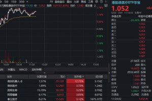 医保局重磅发布，AH医疗应声上涨！港股通医疗ETF（159137）上探1.78%，A股最大医疗ETF单日获超2.7亿元增仓