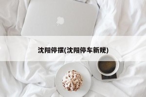 沈阳停摆(沈阳停车新规)